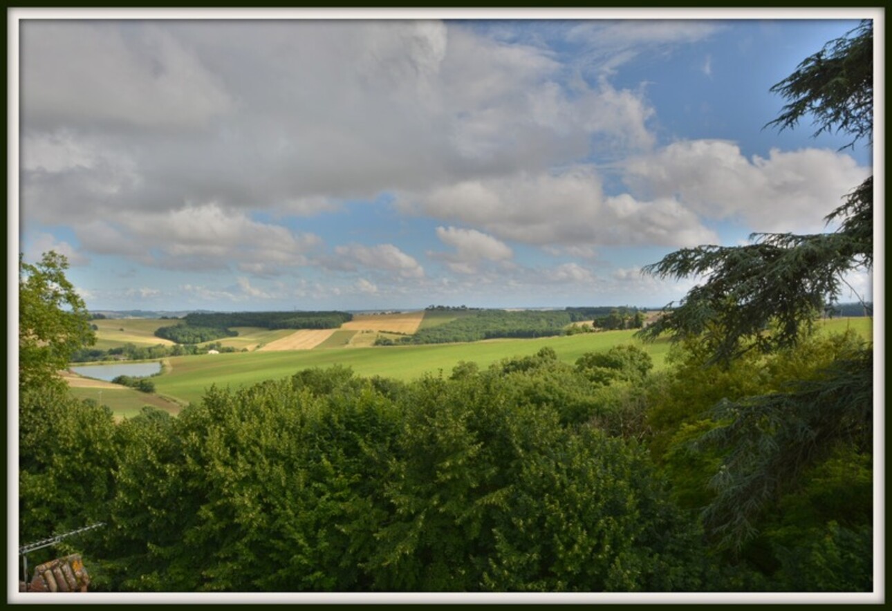 Photos 9 - Prestige - Dpt Lot et Garonne (47), à vendre proche d'AGEN proprieté P10 de 400 m² - Terrain de 11,00 Ha