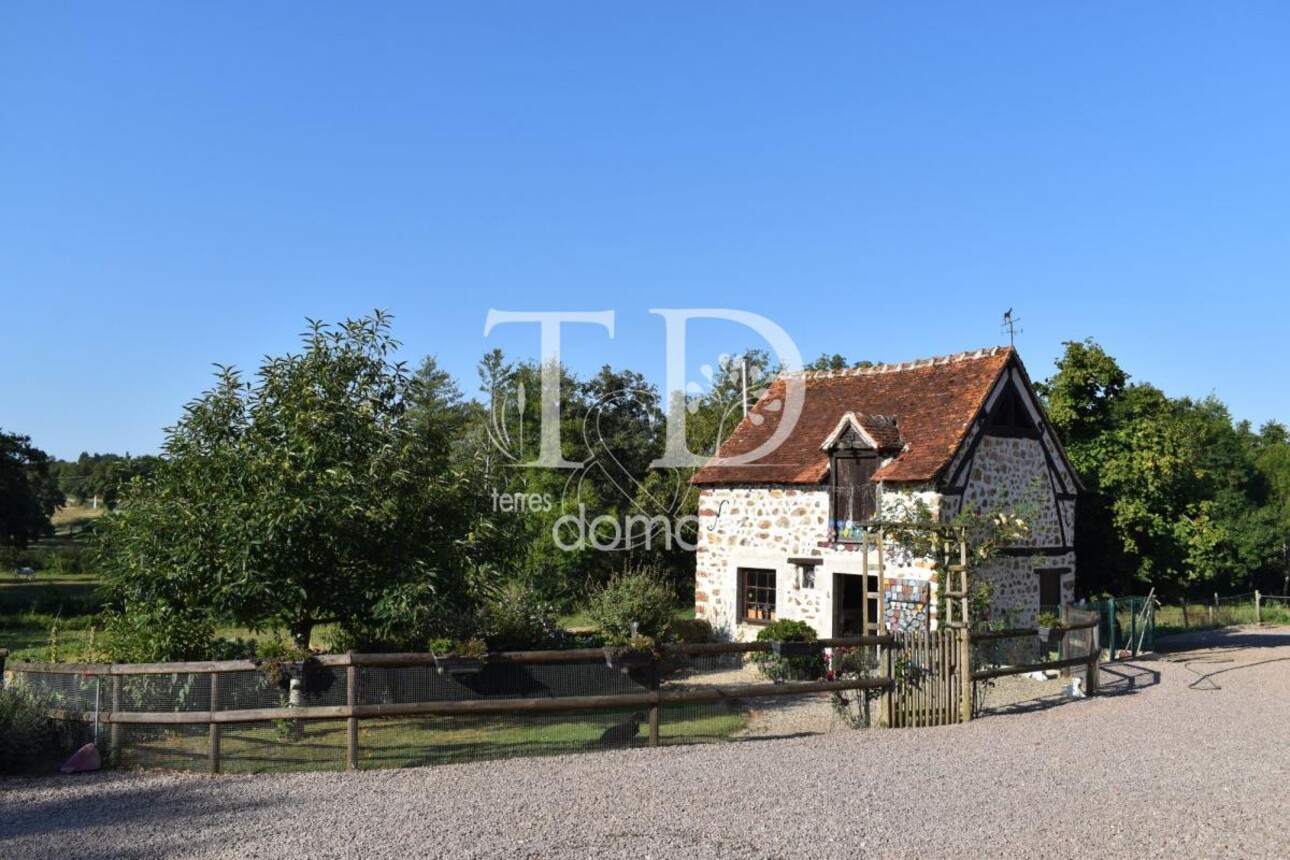 Photos 2 - Equestrian - Propriété rurale et équestre avec élevage canin sur 3.7 hect