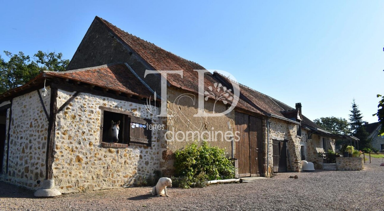 Photos 4 - Equestrian - Propriété rurale et équestre avec élevage canin sur 3.7 hect