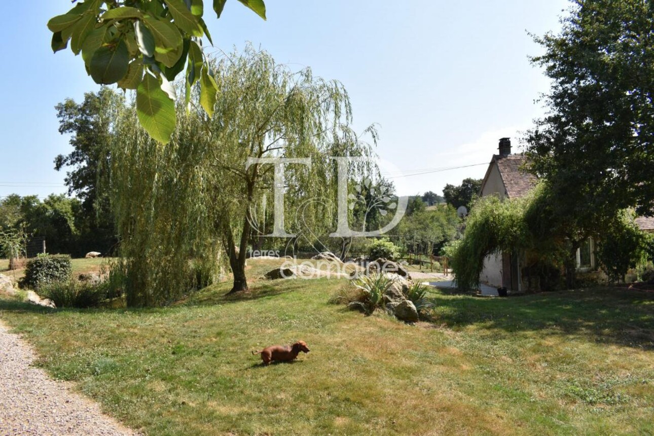 Photos 6 - Equestrian - Propriété rurale et équestre avec élevage canin sur 3.7 hect