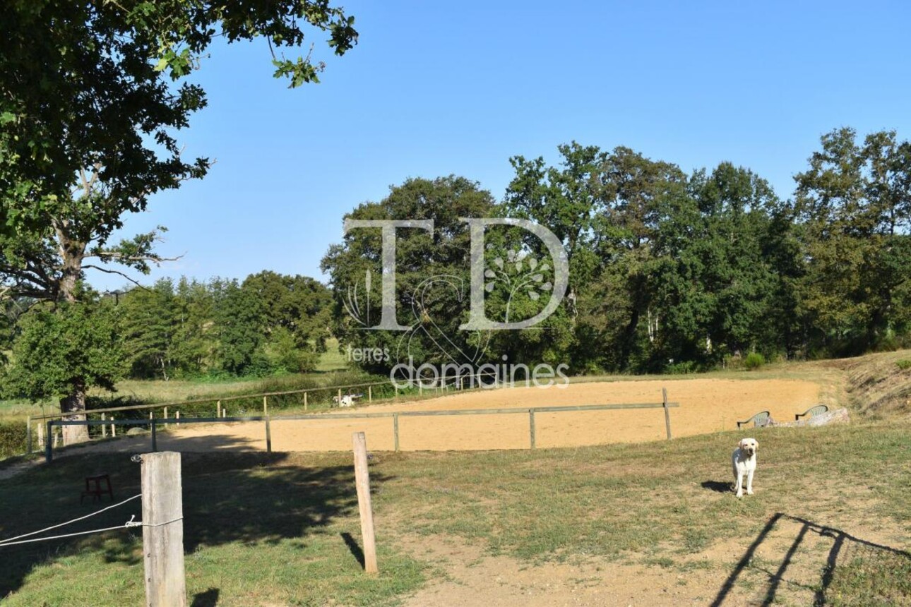 Photos 7 - Equestrian - Propriété rurale et équestre avec élevage canin sur 3.7 hect