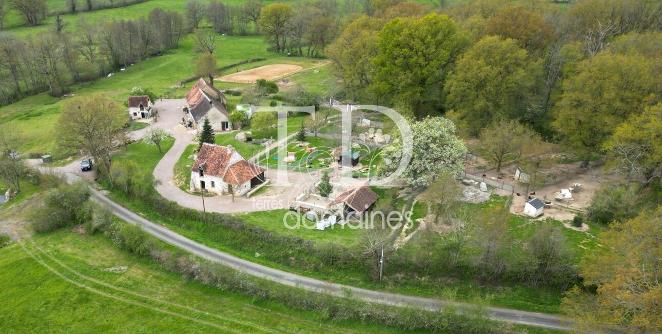 Photos 13 - Équestre - Propriété rurale et équestre avec élevage canin sur 3.7 hect