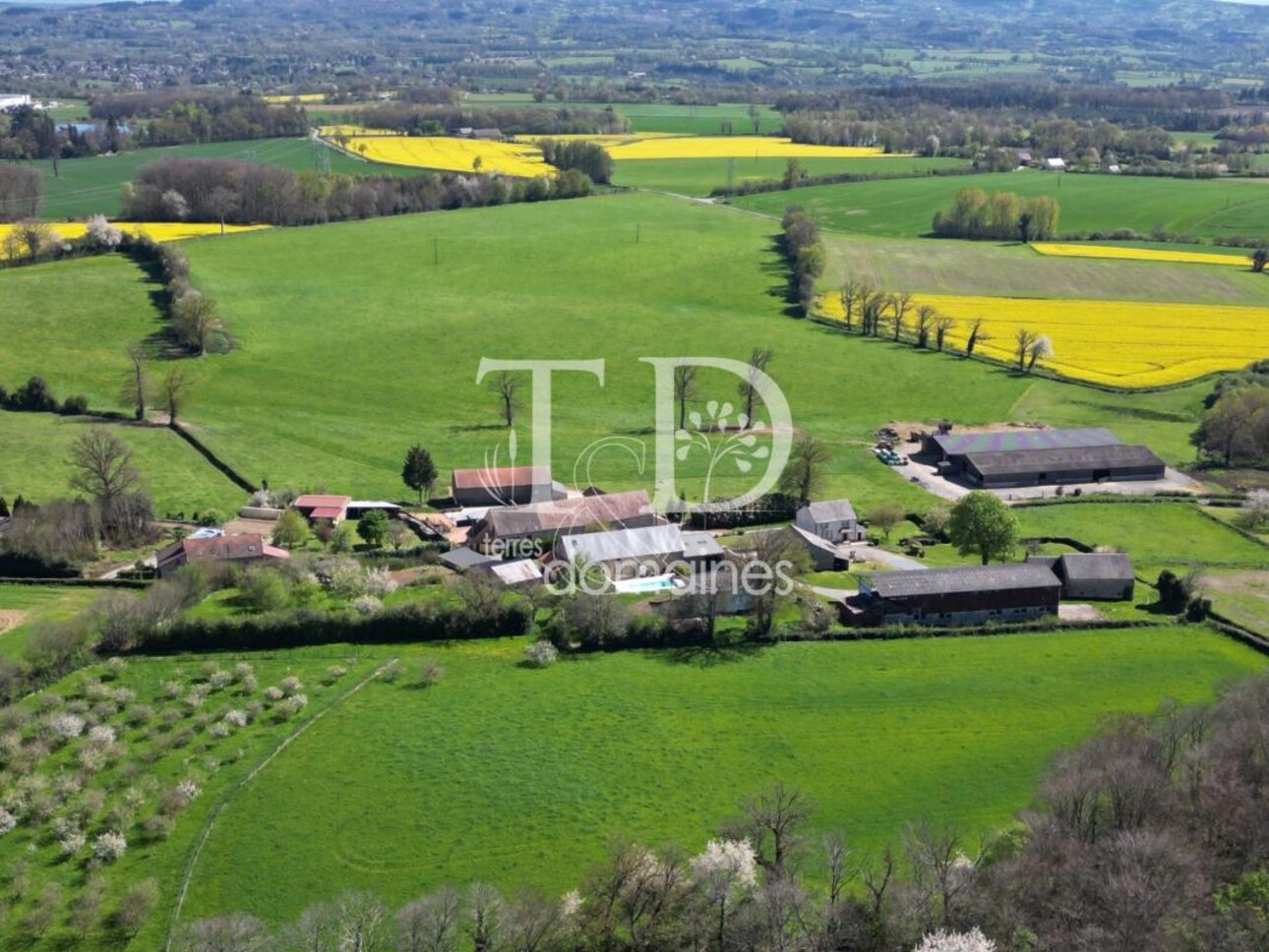 Photos 6 - Equestrian - Superbe propriété rurale sur 03 hectares 2591 avec une maison