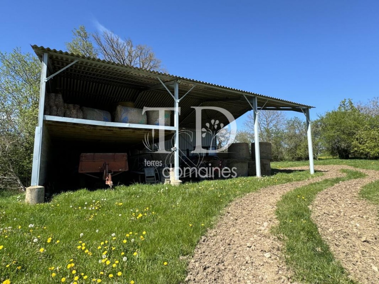 Photos 7 - Équestre - Superbe propriété rurale sur 03 hectares 2591 avec une maison