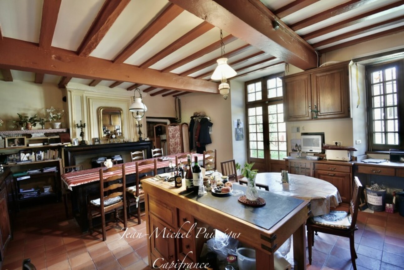 Photos 12 - Prestigious - Dpt Haute Garonne (31), near AURIGNAC, 12th century castle with 5Ha park