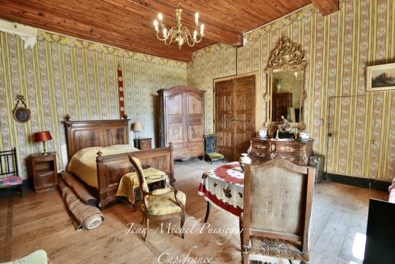 Photos 18 - Prestigious - Dpt Haute Garonne (31), near AURIGNAC, 12th century castle with 5Ha park