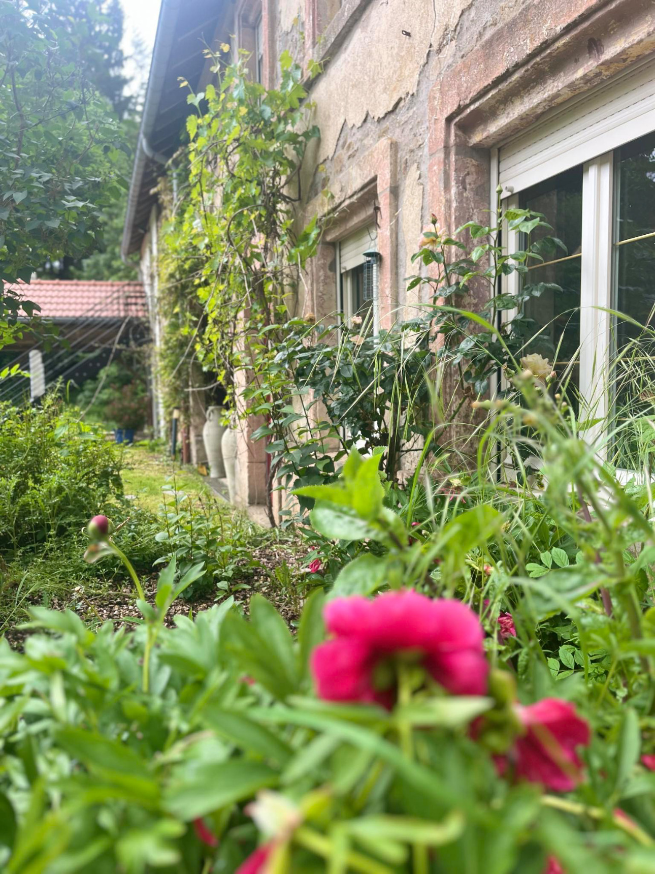 Photos 2 - Touristique - Gîte de Luxe en Activité et Maison d'Habitation avec Potentiel de Développement - Proche Saint-Dié-des-Vosges (Vosges)