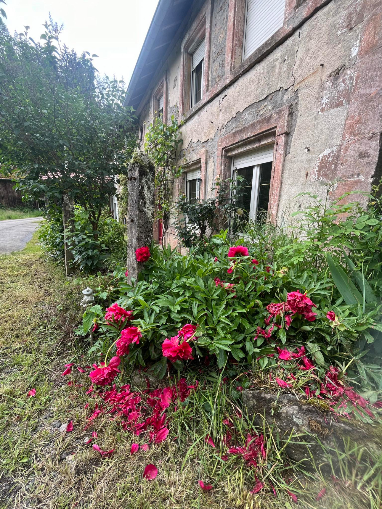 Photos 3 - Touristique - Gîte de Luxe en Activité et Maison d'Habitation avec Potentiel de Développement - Proche Saint-Dié-des-Vosges (Vosges)