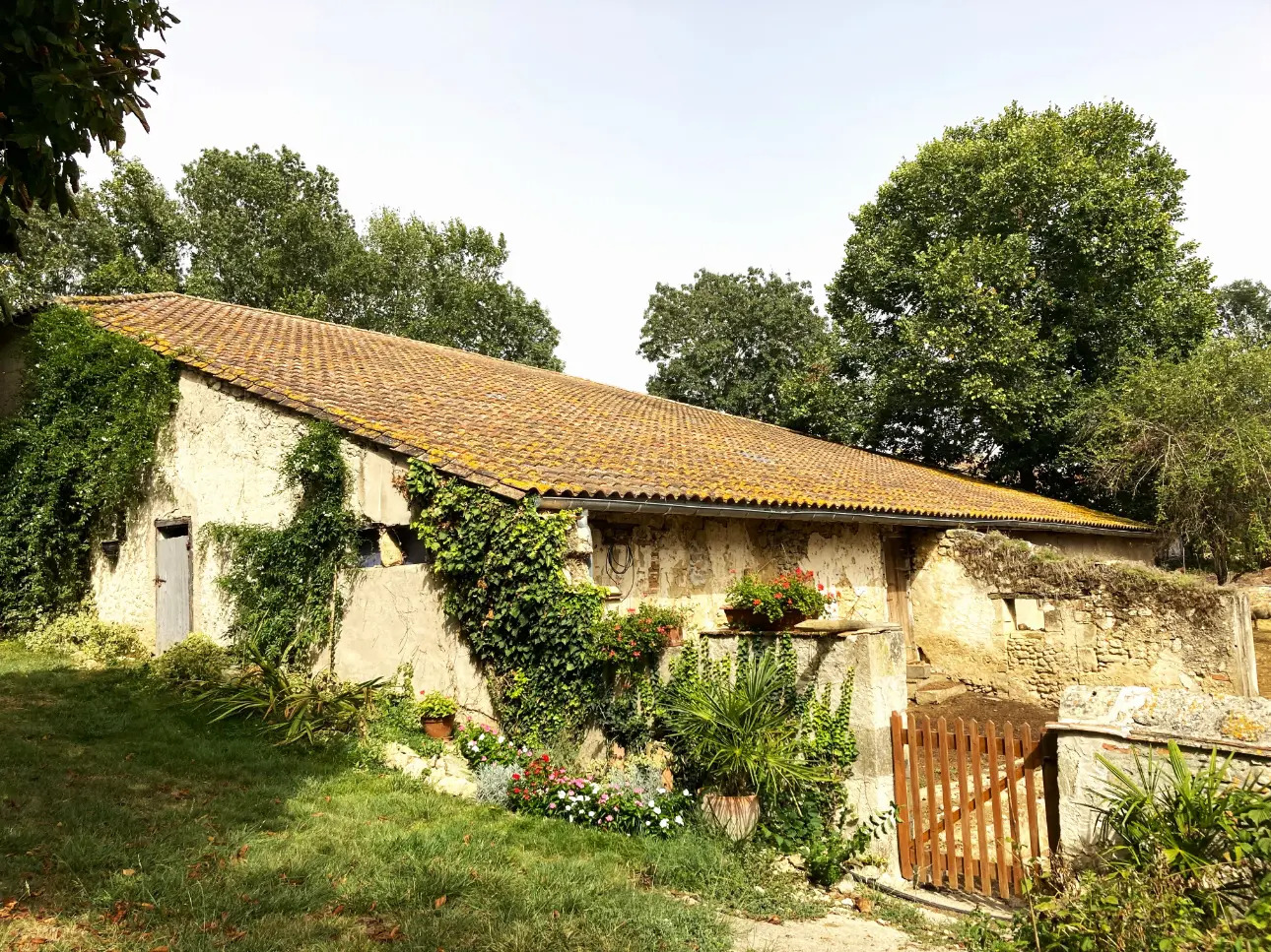 Photos 4 - Prestige - Manoir et ses dépendances entourés d'un domaine de 56ha d'un seul tenant (Prairies et forêt feuillus)