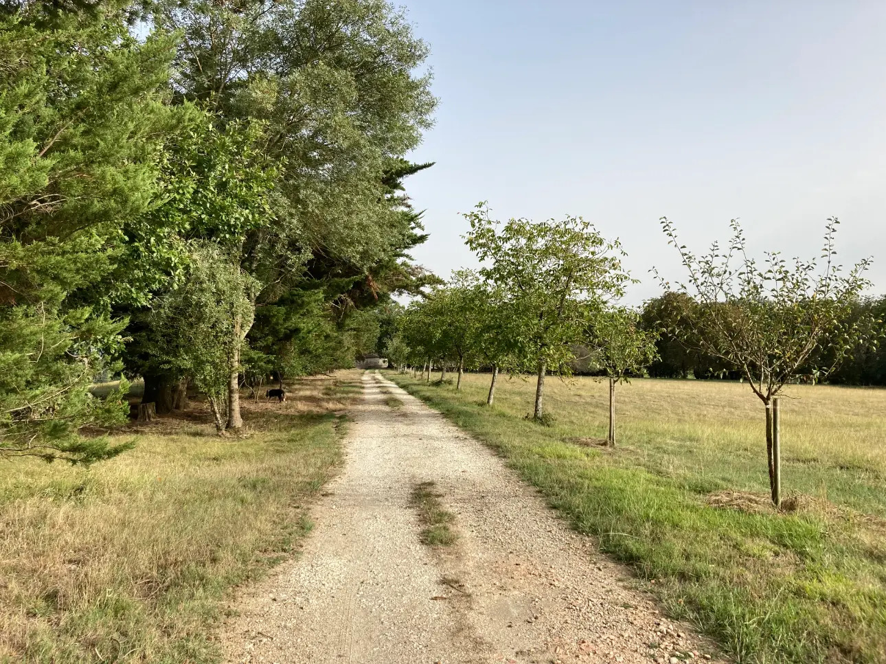 Photos 5 - Prestige - Beau manoir et ses dépendances entourés d'un domaine de 56ha d'un seul tenant (Prairies et forêt feuillus)