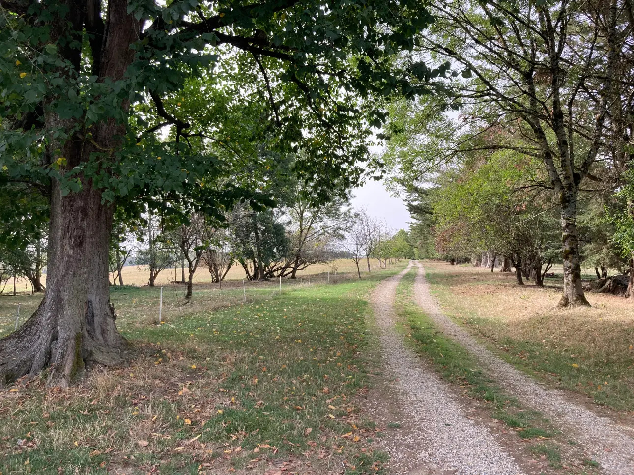 Photos 8 - Prestigious - Beautiful manor and its outbuildings surrounded by a 56ha estate in one piece (meadows and deciduous forest)