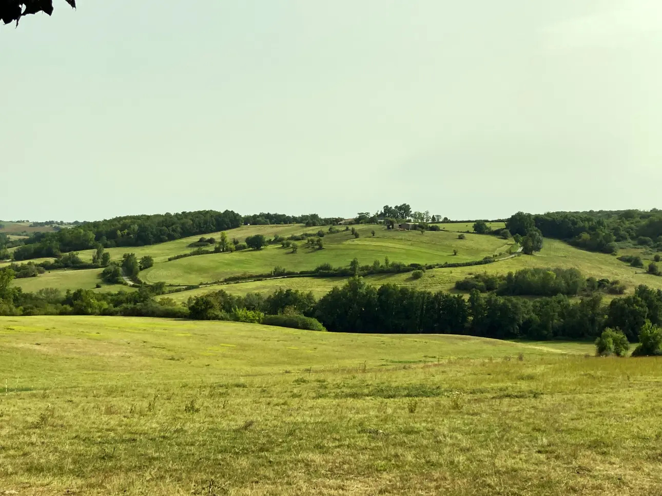 Photos 9 - Prestige - Manoir et ses dépendances entourés d'un domaine de 56ha d'un seul tenant (Prairies et forêt feuillus)