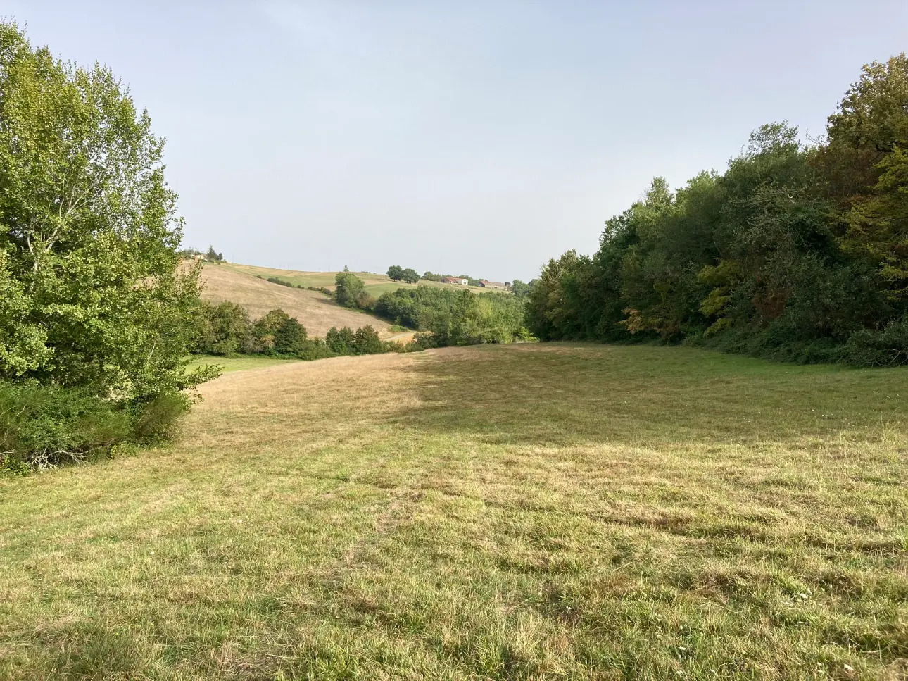 Photos 12 - Prestige - Beau manoir et ses dépendances entourés d'un domaine de 56ha d'un seul tenant (Prairies et forêt feuillus)