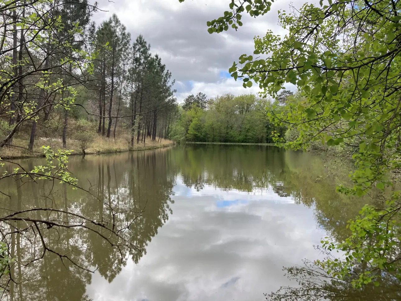 Photos 1 - Land - Property comprising a deciduous and coniferous forest of approximately 40ha, a pond, a wooden chalet and a garage, in Dordogne