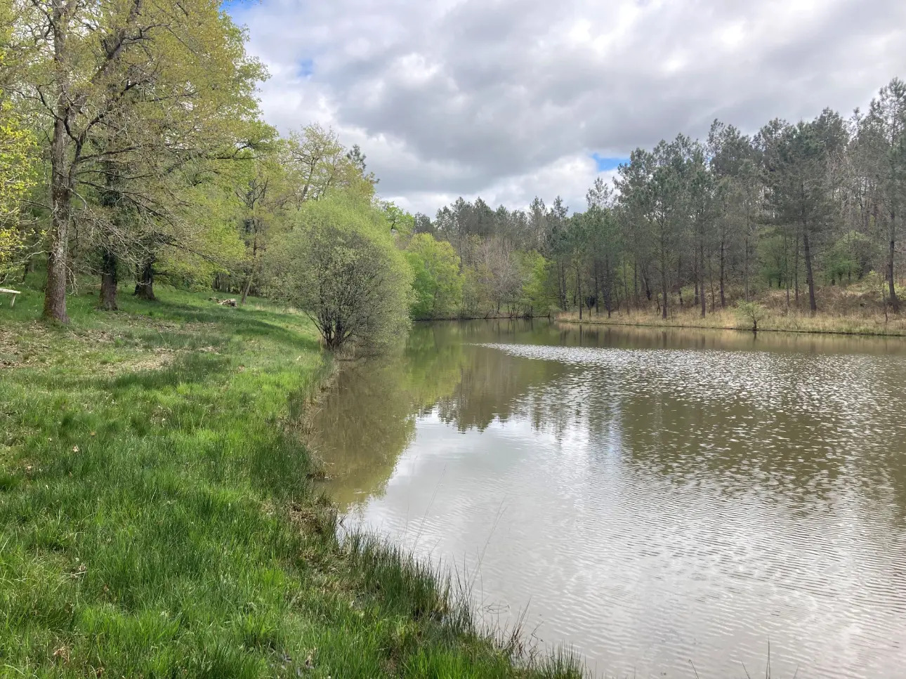 Photos 4 - Foncière - Propriété comprenant une forêt feuillue et résineuse de 40ha environ, un étang, un chalet en bois et un garage, en Dordogne