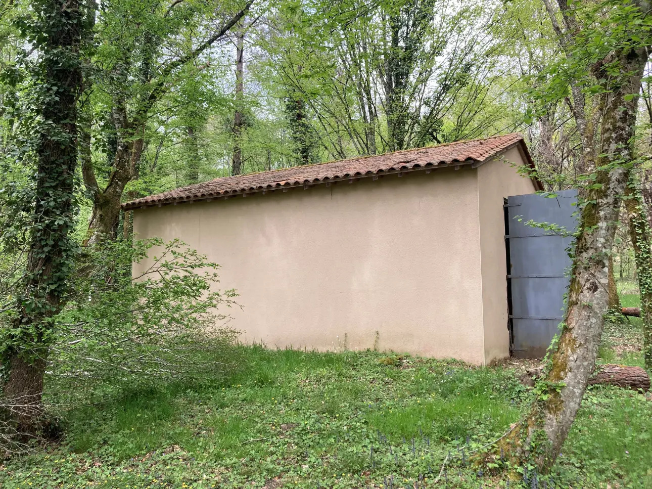 Photos 6 - Foncière - Propriété comprenant une forêt feuillue et résineuse de 40ha environ, un étang, un chalet en bois et un garage, en Dordogne