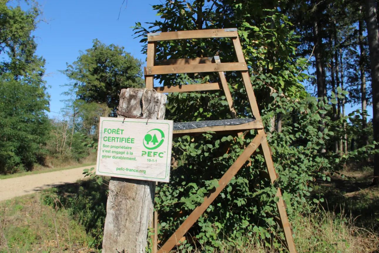 Photos 2 - Foncière - Magnifique forêt de 44ha d'un seul tenant dans la Vienne (splendide futaie de Douglas sur 12ha)