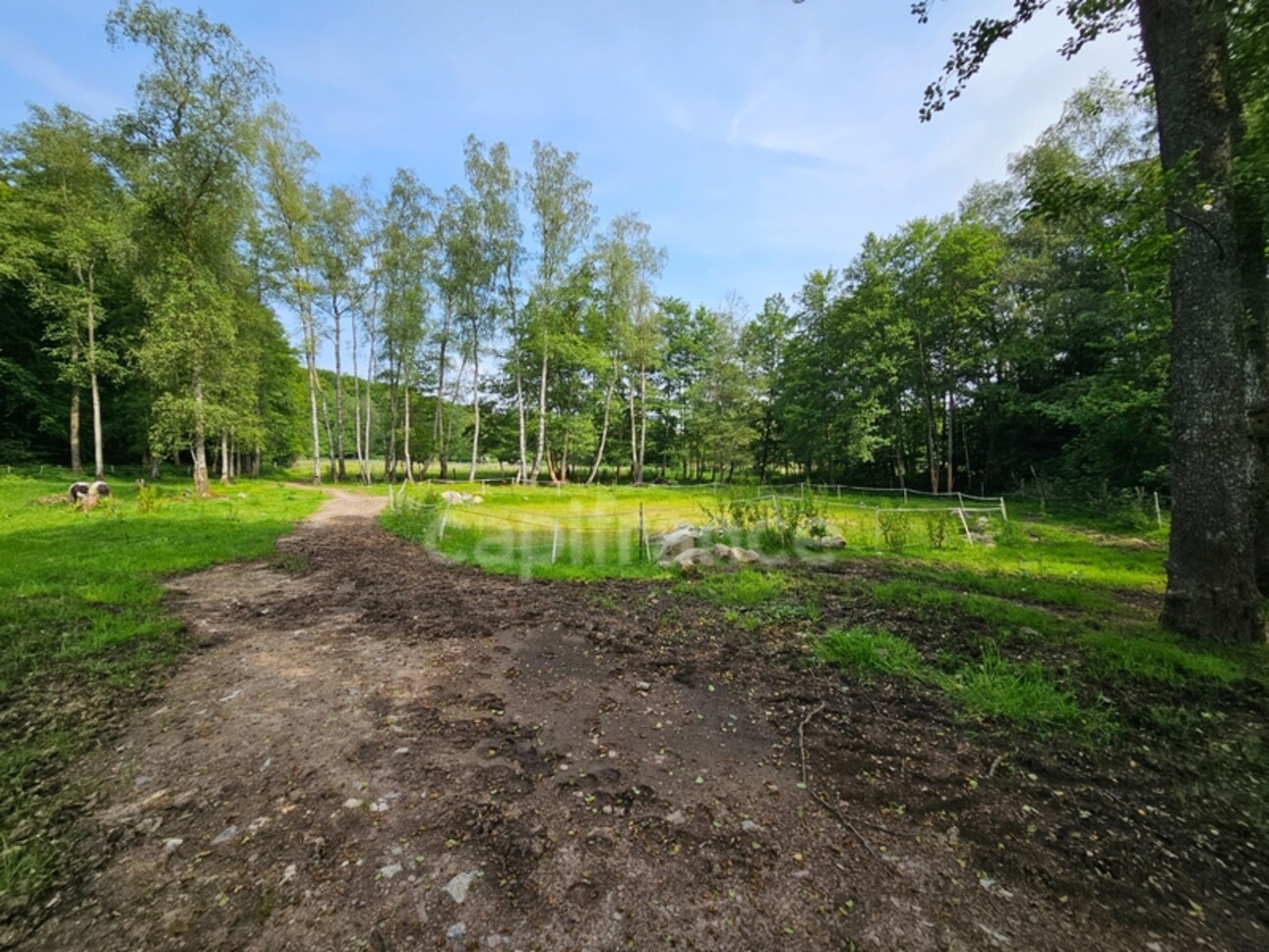 Photos 6 - Equestrian - Dpt Nièvre (58), à vendre MONTSAUCHE LES SETTONS propriete P13