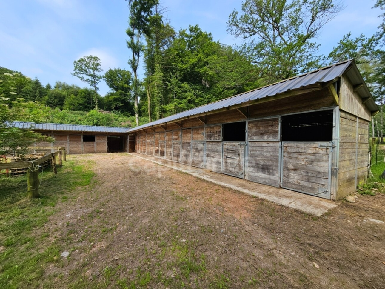 Photos 7 - Equestrian - Dpt Nièvre (58), à vendre MONTSAUCHE LES SETTONS propriete P13