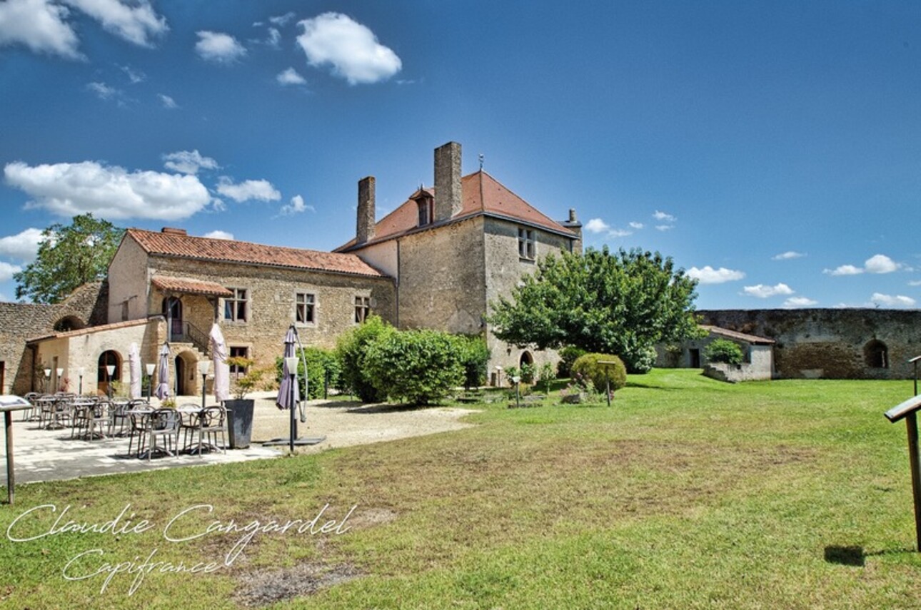 Photos 1 - Prestigious - Dpt Deux Sèvres (79), for sale AIRVAULT property P14 of 490 m² - Land of 4,694.00 m²