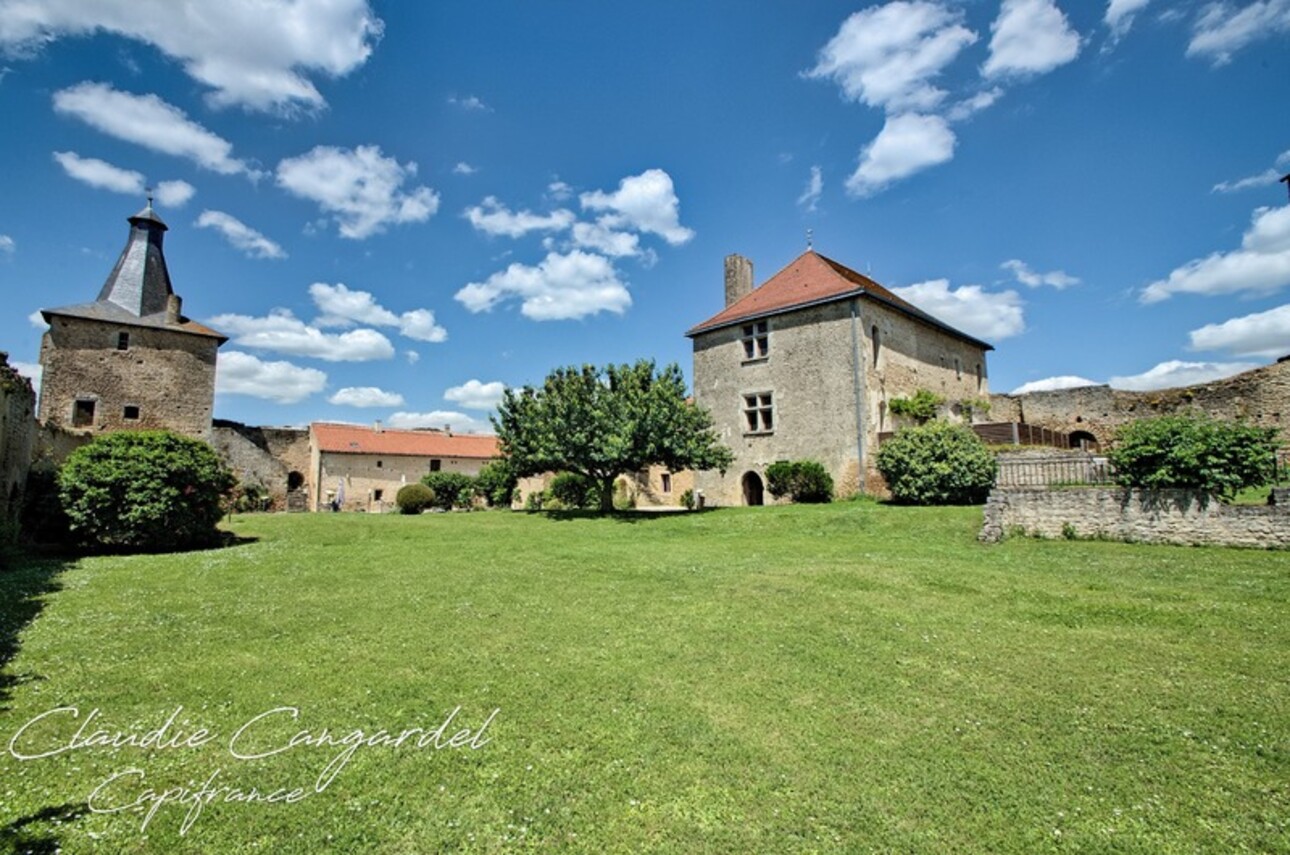 Photos 21 - Prestigious - Dpt Deux Sèvres (79), for sale AIRVAULT property P14 of 490 m² - Land of 4,694.00 m²