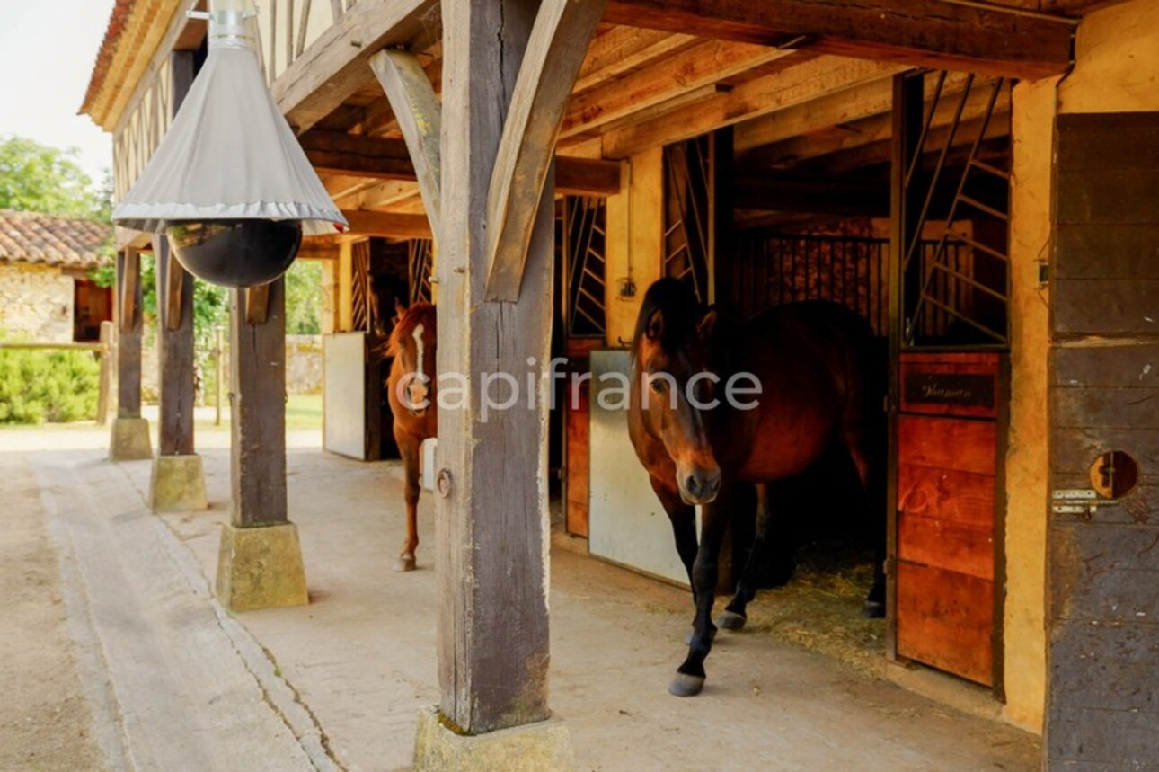 Photos 31 - Équestre - Dpt Dordogne (24), à vendre proche de MONPAZIER magnifique propriété équestre