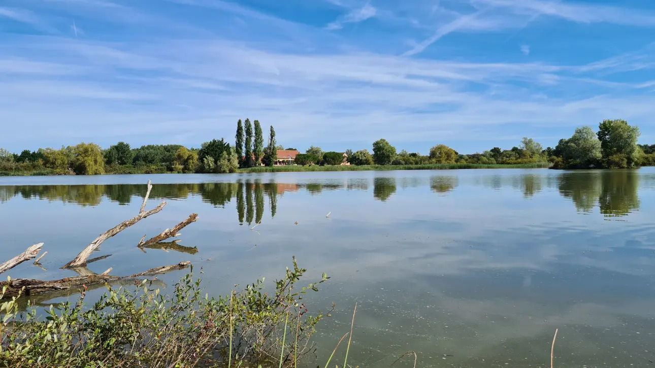 Photos 1 - Foncière - Domaine de chasse en Brenne (Indre 36) à vendre