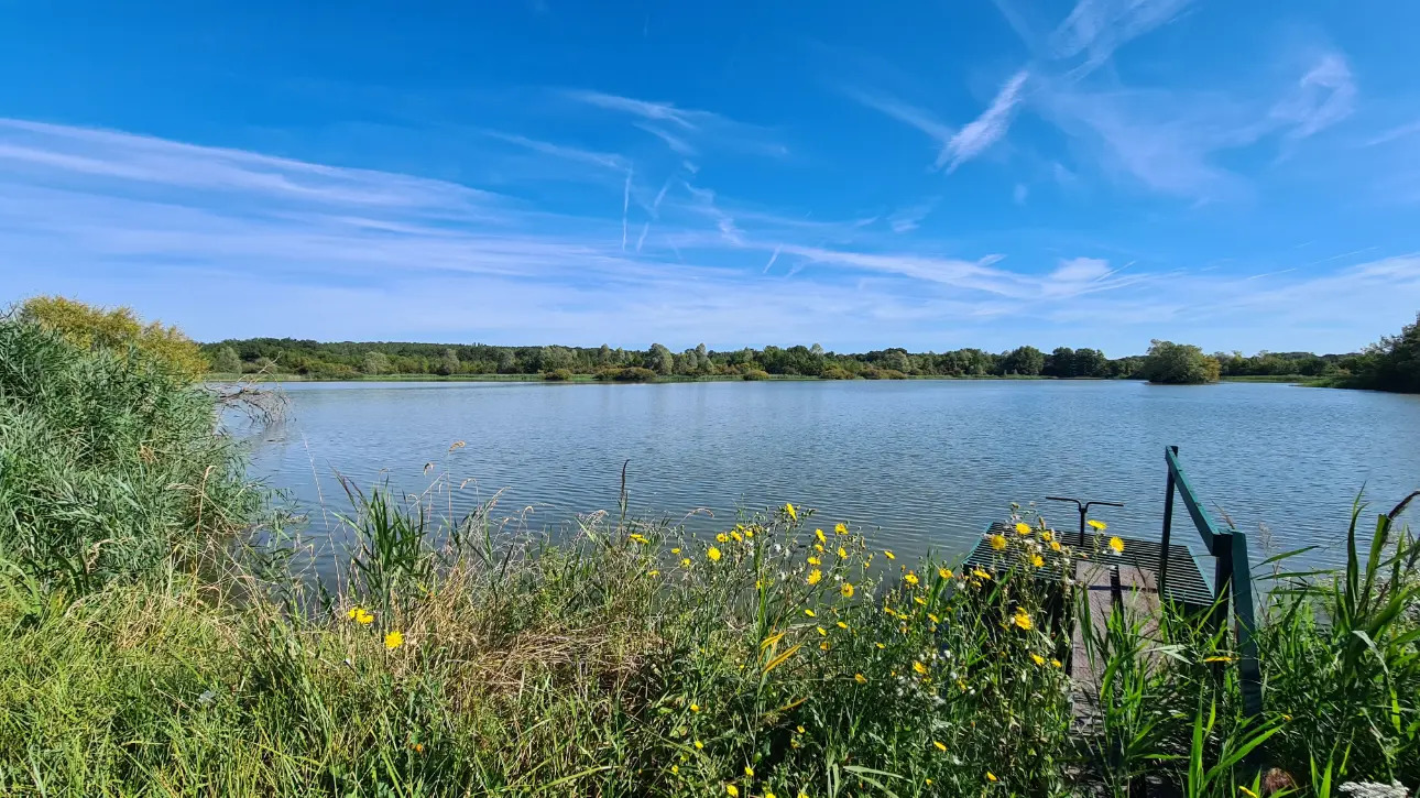 Photos 4 - Foncière - Domaine de chasse en Brenne (Indre 36) à vendre