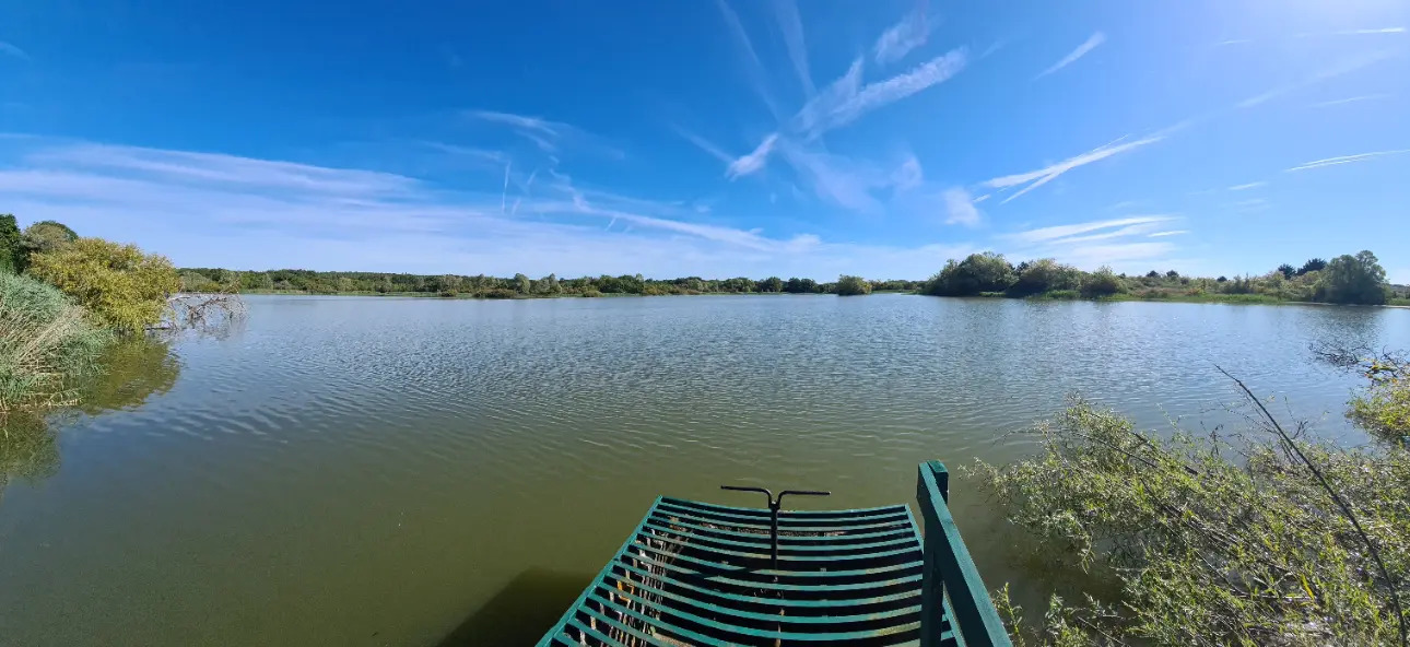 Photos 6 - Foncière - Domaine de chasse en Brenne (Indre 36) à vendre