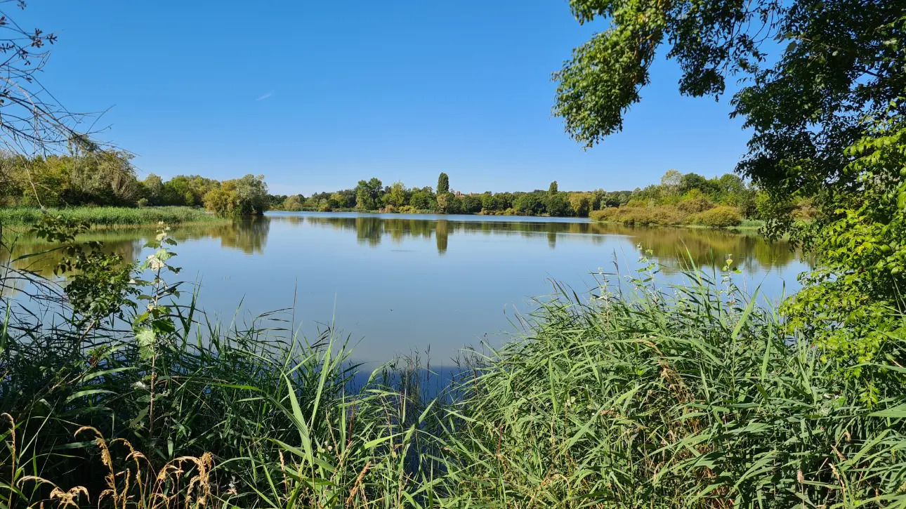 Photos 7 - Foncière - Domaine de chasse en Brenne (Indre 36) à vendre