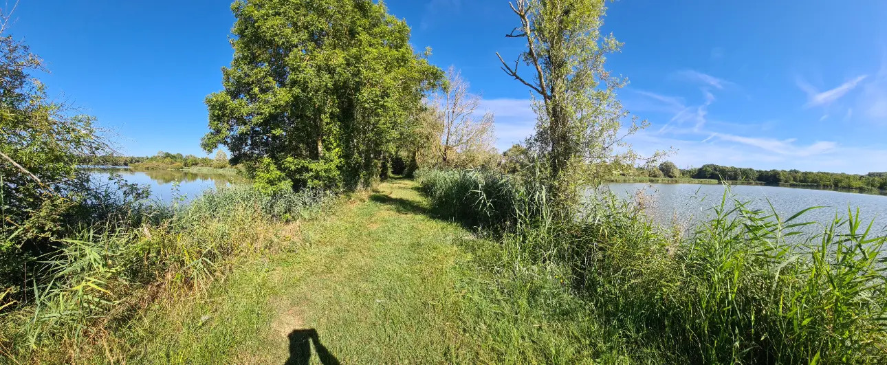 Photos 8 - Foncière - Domaine de chasse en Brenne (Indre 36) à vendre