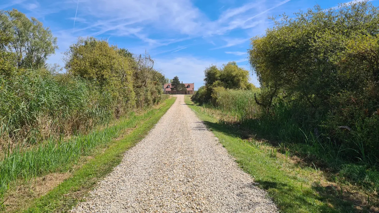 Photos 9 - Foncière - Domaine de chasse en Brenne (Indre 36) à vendre