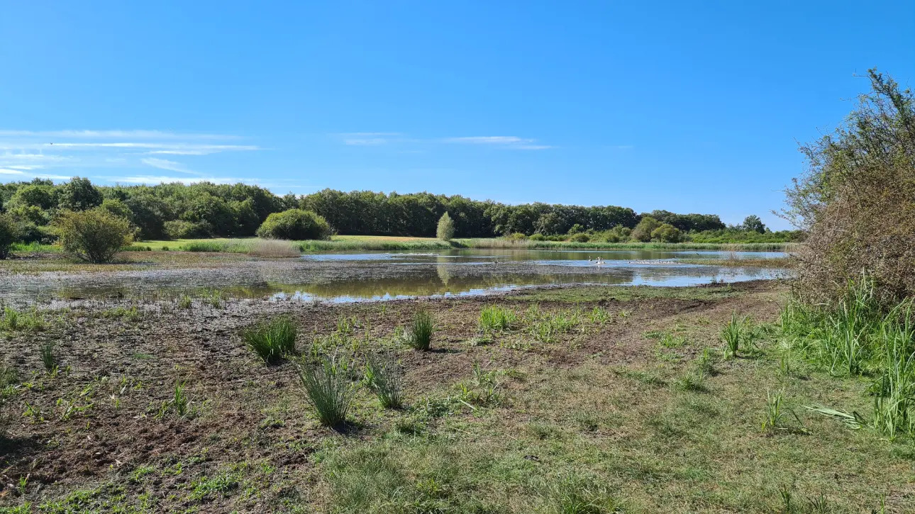 Photos 10 - Foncière - Domaine de chasse en Brenne (Indre 36) à vendre