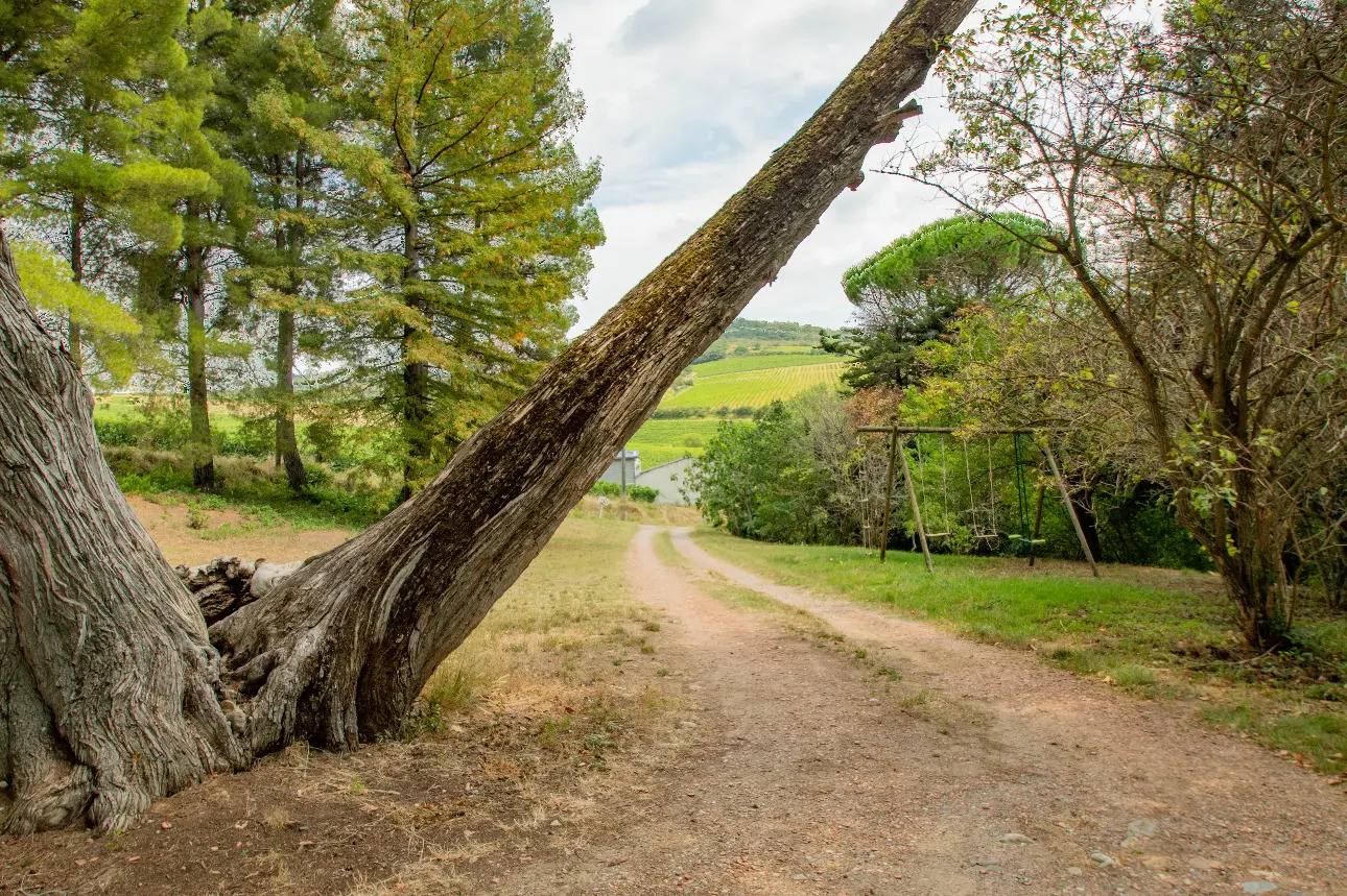 Photos 4 - Touristique - Ancien domaine viticole dans un cadre paisible