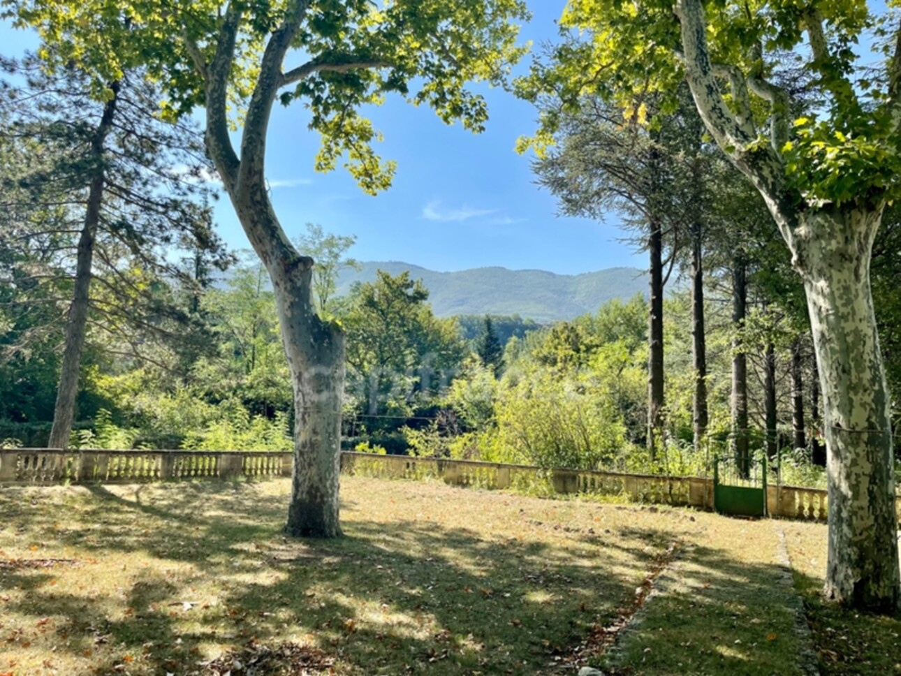 Photos 3 - Prestige - Maison de Maître de Prestige dans le Luberon - Idéale pour Chambres d’Hôtes