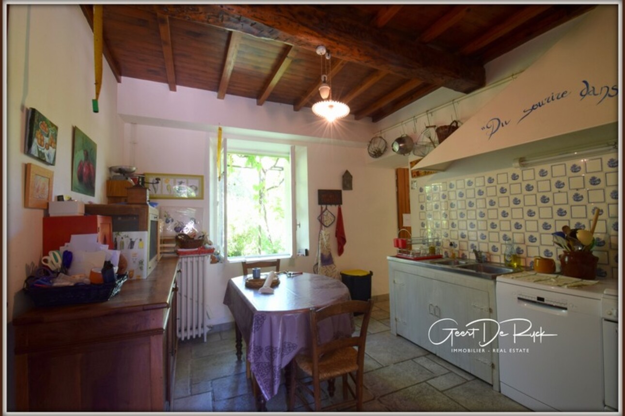 Photos 5 - Tourist - Real estate complex of a family home and a small house for sale T10 rooms near LIMOUX (11)