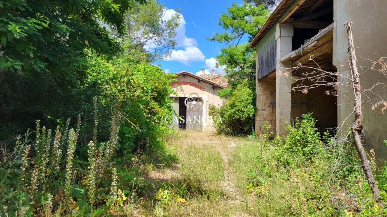 Photos 7 - Prestigious - Maison de maître