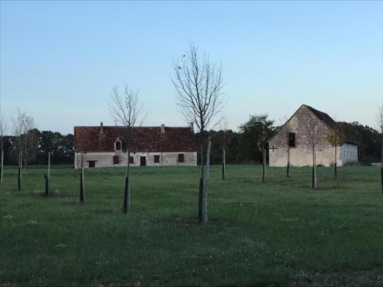 Photos 3 - Agricultural - EXCLUSIVITE INDRE SECTEUR BOISCHAUD NORD