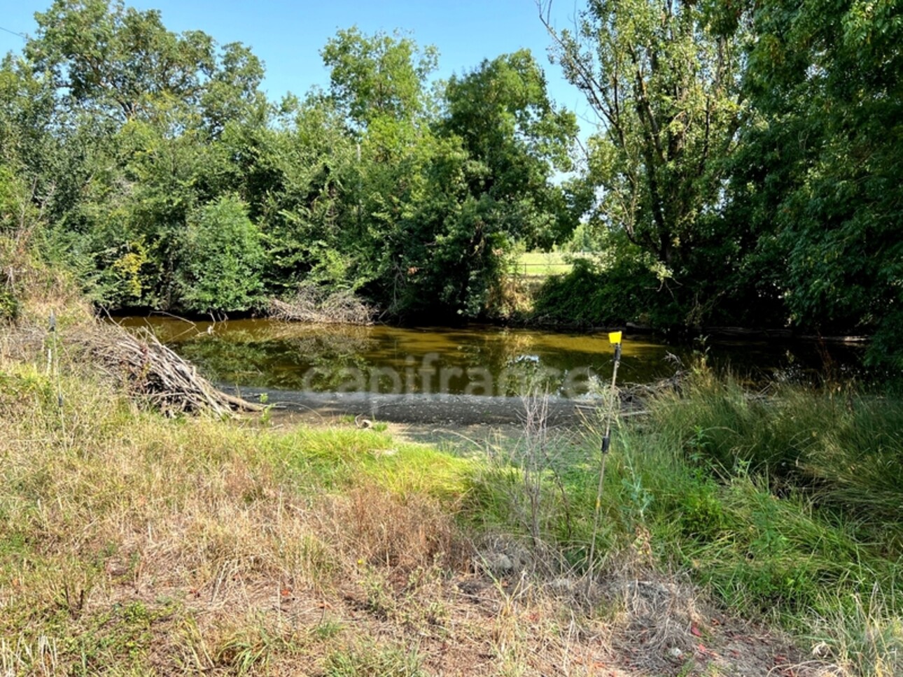 Photos 6 - Equestrian - Propriété à vendre à FLEURANCE (32), 19 hectares de prairies, composée d'une maison rénovée de 205 m2 habitables, d'une grange de 415 m2, d'un séchoir à tabac de 270 m2