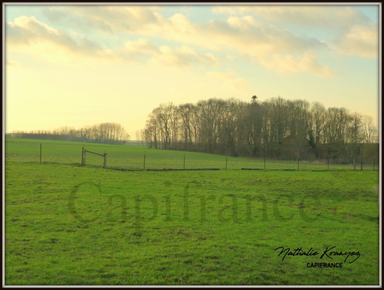 Photos 10 - Touristique - Propriete à vendre proche de ATTIGNY (08) sur environ 9000m² de terrain