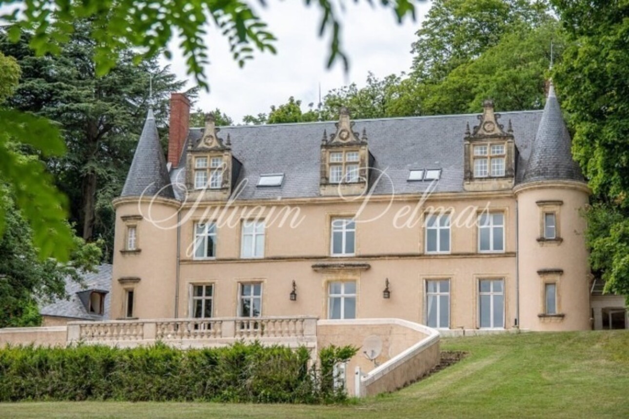 Photos 1 - Prestigious - A VENDRE Château à 20 km de Tours centre accès A85 Entièrement restauré sur 10 hectares