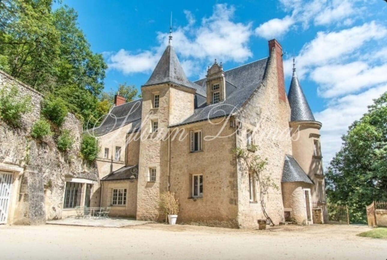 Photos 2 - Prestige - A VENDRE Château à 20 km de Tours centre accès A85 Entièrement restauré sur 10 hectares