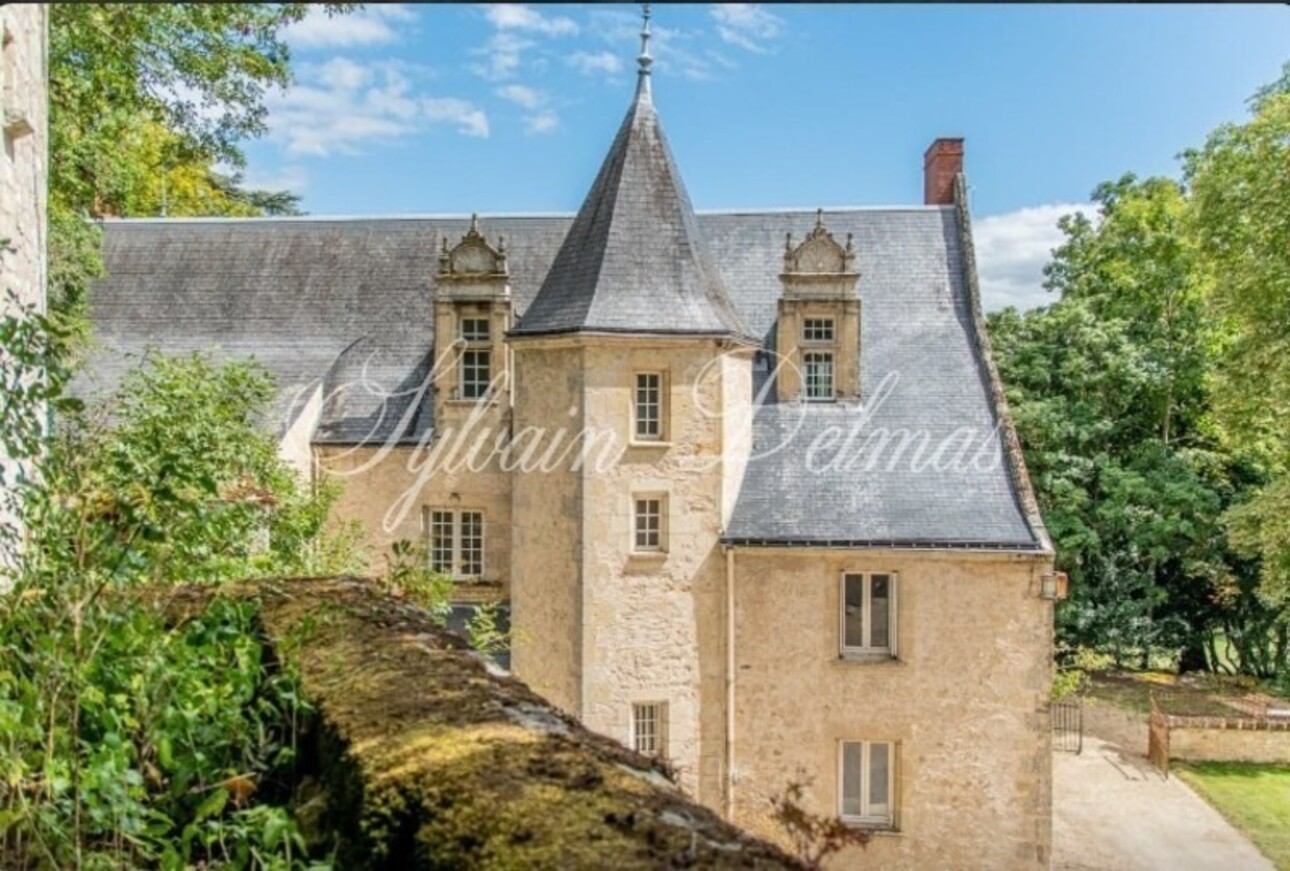 Photos 3 - Prestige - A VENDRE Château à 20 km de Tours centre accès A85 Entièrement restauré sur 10 hectares