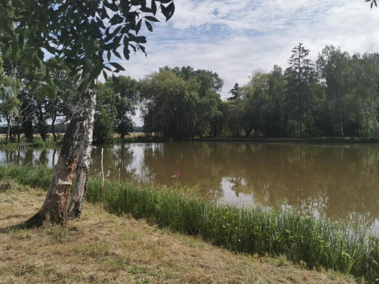 Photos 4 - Foncière - TERRAIN DE LOISIR AVEC ÉTANG