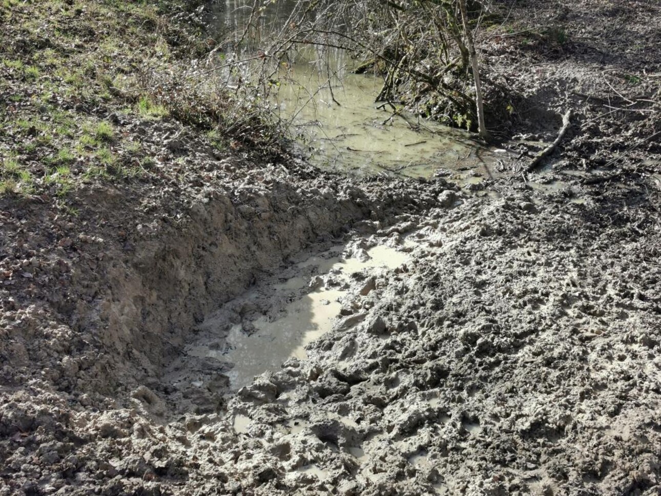 Photos 17 - Forestière - PROPRIÉTÉ DE 9.5HA AVEC ÉTANG