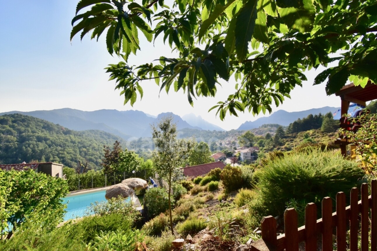 Photos 11 - Touristique - Dpt Corse (20), à vendre EVISA, ensemble de six chalets en bois avec terrasse, sur terrain avec piscine et parking