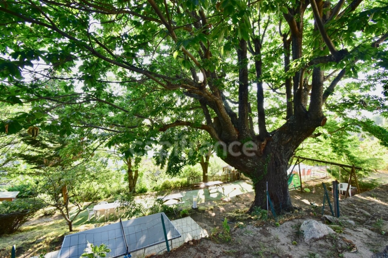 Photos 12 - Touristique - Dpt Corse (20), à vendre EVISA, ensemble de six chalets en bois avec terrasse, sur terrain avec piscine et parking