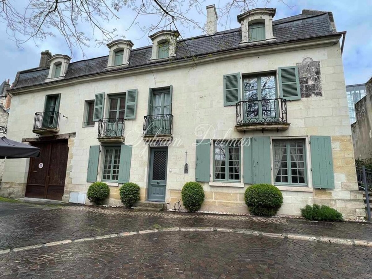 Photos 1 - Prestigious - Property for sale 10 rooms CHINON (37)