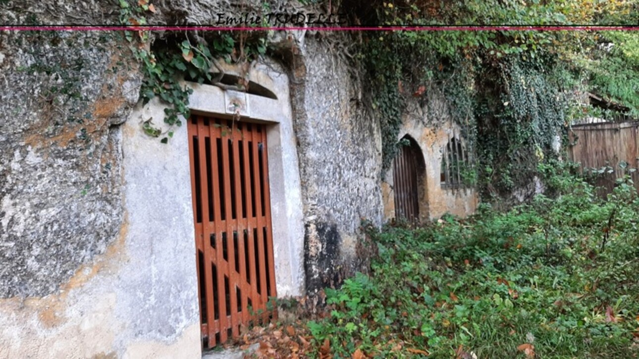 Photos 4 - Land - Dpt Sarthe (72), for sale LA CHARTRE SUR LE LOIR land + 2 beautiful CELLARS