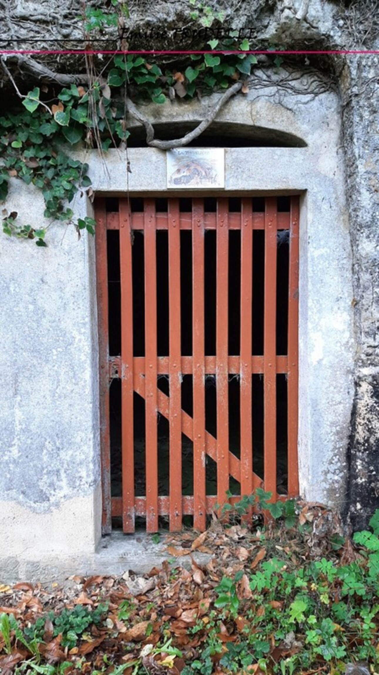 Photos 5 - Land - Dpt Sarthe (72), for sale LA CHARTRE SUR LE LOIR land + 2 beautiful CELLARS